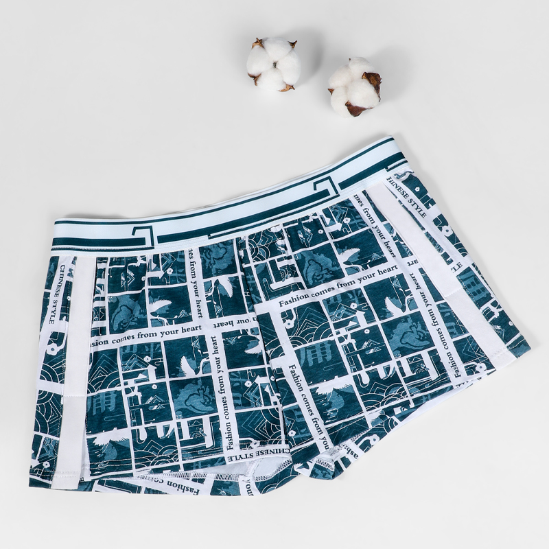 Intimo maschile, pantaloni Aro - Boxer Brief Pack Cotton recensione e prezzo